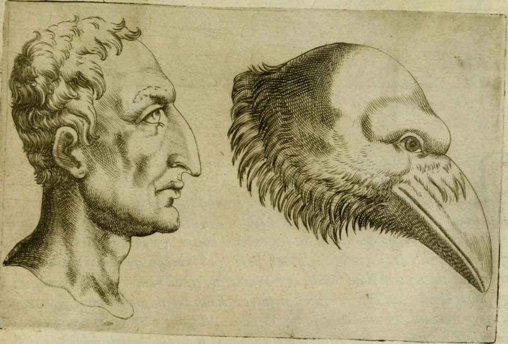 An illustration from Io. Baptistae Portae neapolitani De hvmana physiognomonia libri IIII, 1586, leaf 80