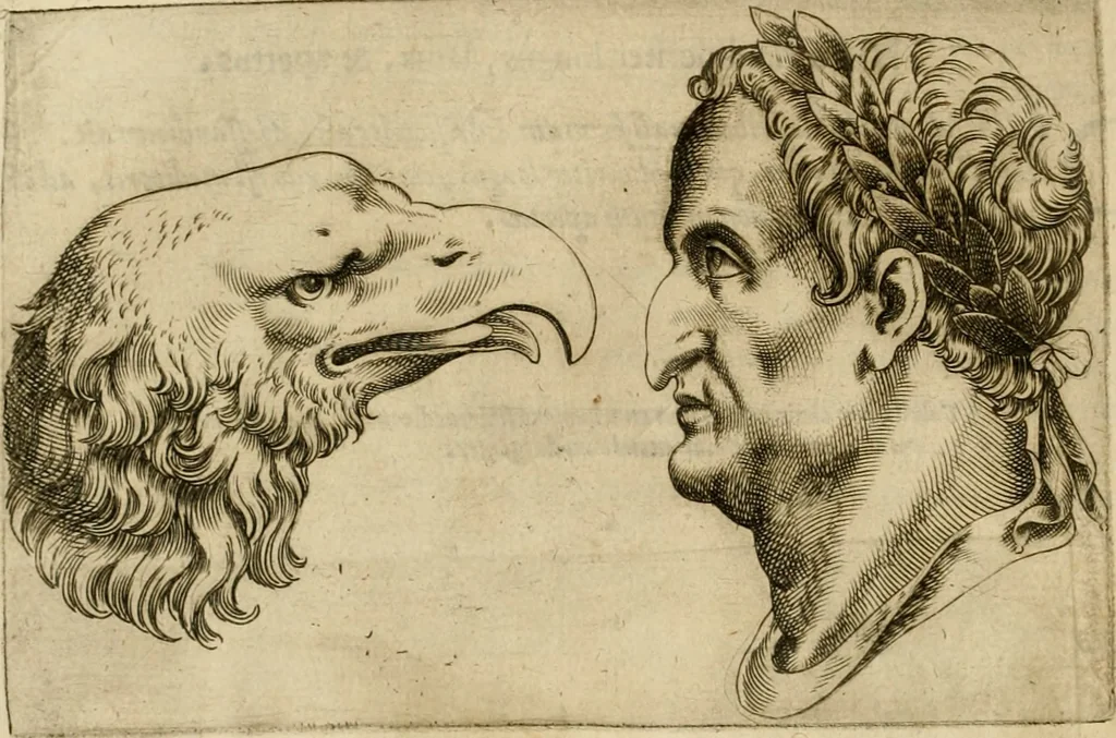 An illustration from Io. Baptistae Portae neapolitani De hvmana physiognomonia libri IIII, 1586, leaf 81