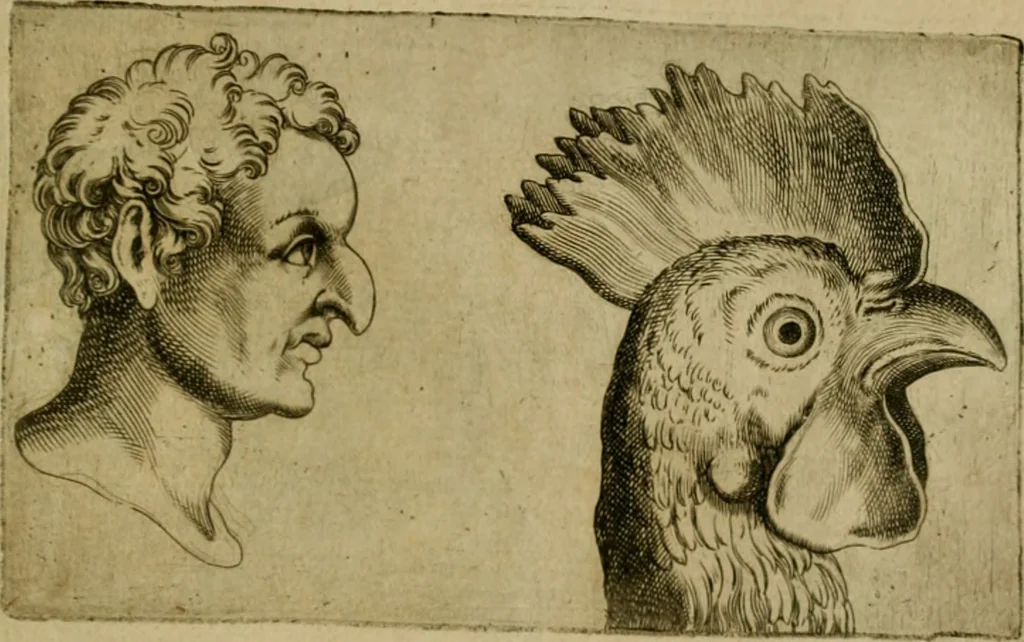 An illustration from Io. Baptistae Portae neapolitani De hvmana physiognomonia libri IIII, 1586, leaf 82