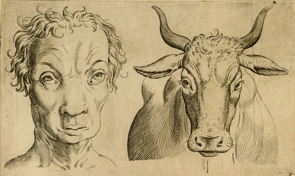 An illustration from Io. Baptistae Portae neapolitani De hvmana physiognomonia libri IIII, 1586, leaf 83