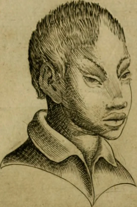An illustration from Io. Baptistae Portae neapolitani De hvmana physiognomonia libri IIII, 1586, leaf 84
