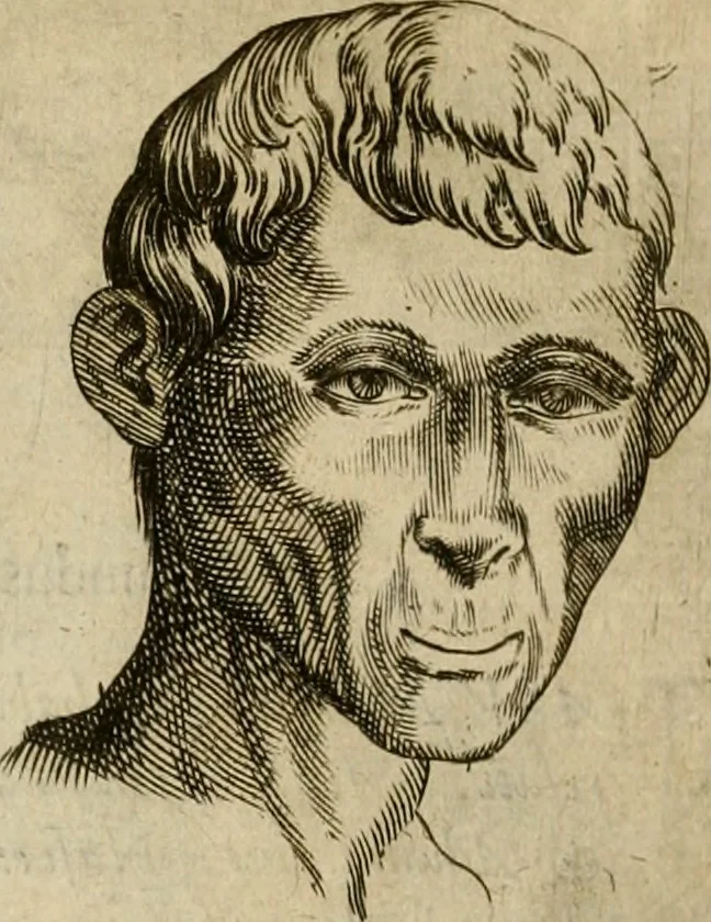 An illustration from Io. Baptistae Portae neapolitani De hvmana physiognomonia libri IIII, 1586, leaf 87