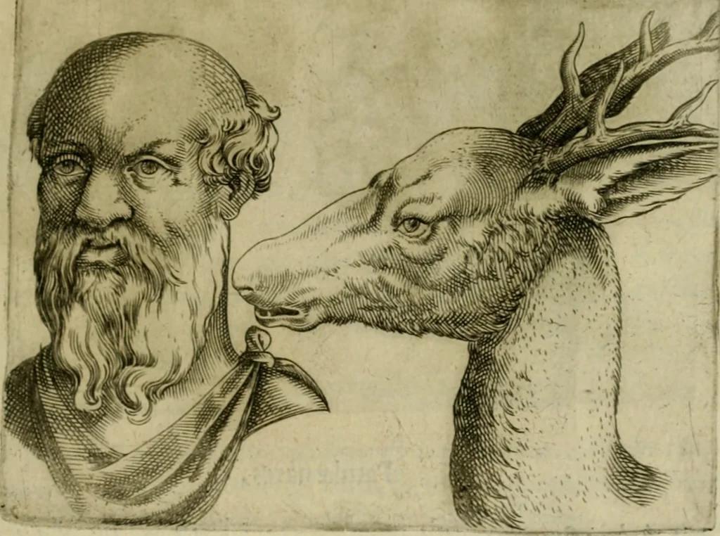 An illustration from Io. Baptistae Portae neapolitani De hvmana physiognomonia libri IIII, 1586, leaf 88