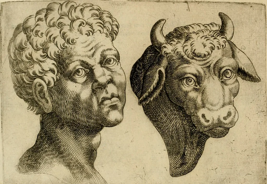An illustration from Io. Baptistae Portae neapolitani De hvmana physiognomonia libri IIII, 1586, leaf 89