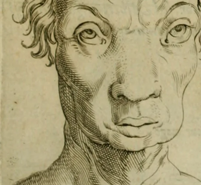 An illustration from Io. Baptistae Portae neapolitani De hvmana physiognomonia libri IIII, 1586, leaf 94