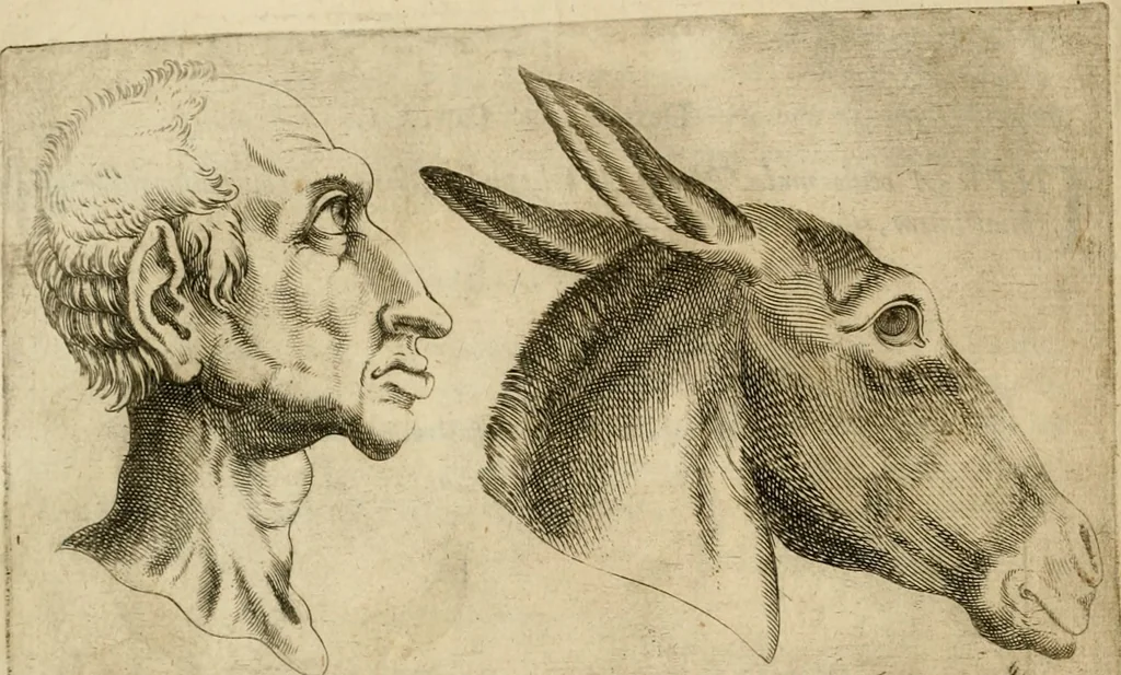 An illustration from Io. Baptistae Portae neapolitani De hvmana physiognomonia libri IIII, 1586, leaf 95