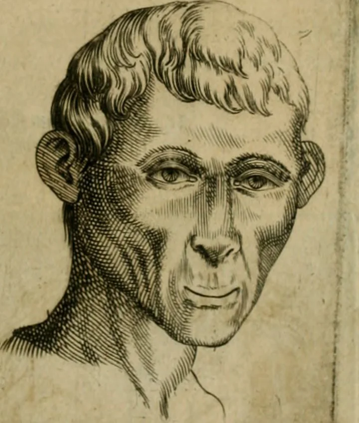 An illustration from Io. Baptistae Portae neapolitani De hvmana physiognomonia libri IIII, 1586, leaf 96
