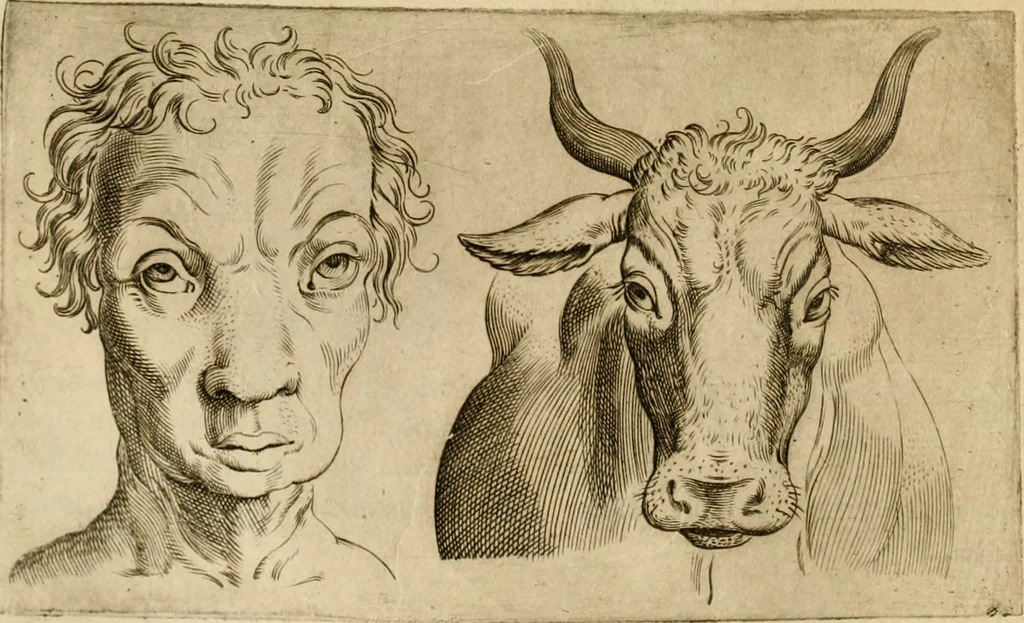 An illustration from Io. Baptistae Portae neapolitani De hvmana physiognomonia libri IIII, 1586, leaf 97