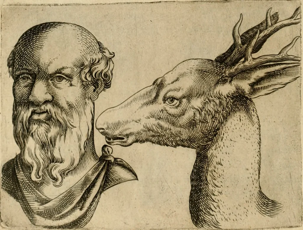 An illustration from Io. Baptistae Portae neapolitani De hvmana physiognomonia libri IIII, 1586, leaf 99