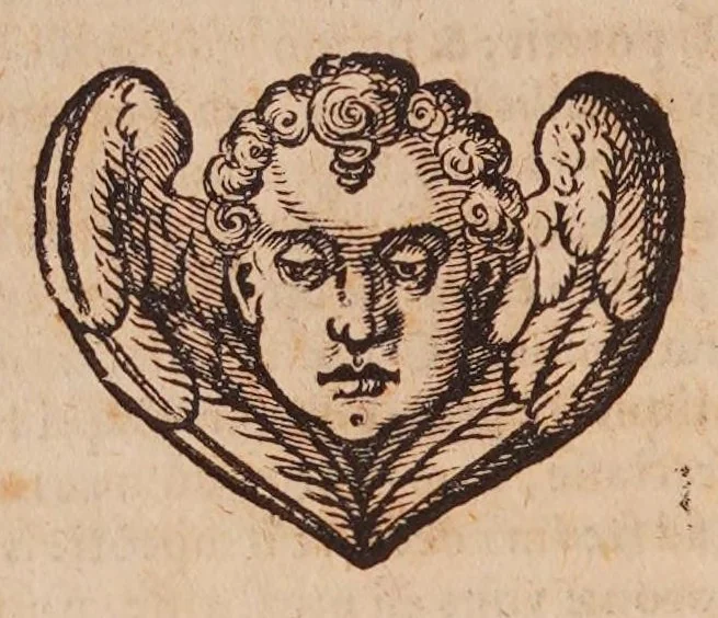 An illustration from Io. Bapt. Portae ... Magiae natvralis libri XX : ab ipso authore expurgati, & superaucti, in quibus scientiarum naturalium diuitiae, & delitiae demonstrantur .., 1589, leaf 304