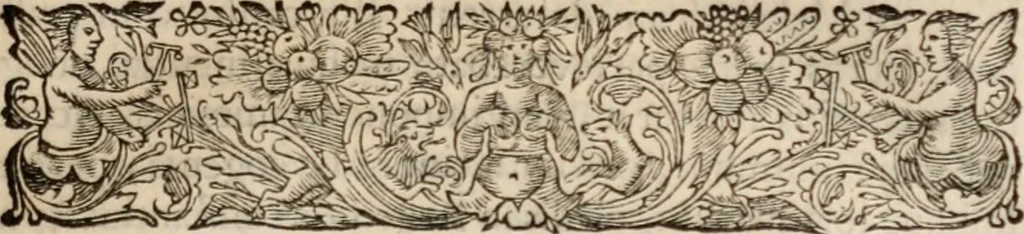 An illustration from Io. Barclaii Argenis, nunce primum illustrata, 1659, leaf 146