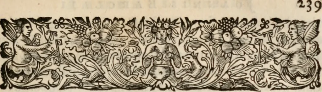 An illustration from Io. Barclaii Argenis, nunce primum illustrata, 1659, leaf 268