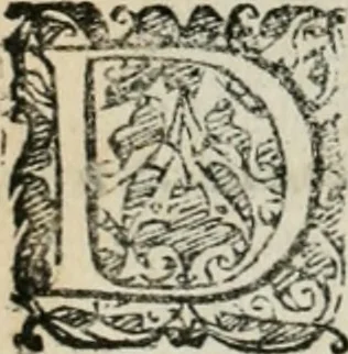 An illustration from Io. Batis. Portae Neap. De humana physiognomia li. VI : in quibus docetur quom[odo] animi propentes naturalibus remediis compesci possint, 1602, leaf 101