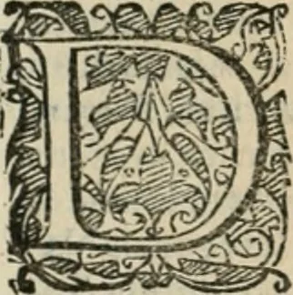 An illustration from Io. Batis. Portae Neap. De humana physiognomia li. VI : in quibus docetur quom[odo] animi propentes naturalibus remediis compesci possint, 1602, leaf 105