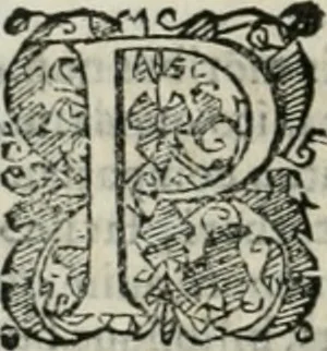 An illustration from Io. Batis. Portae Neap. De humana physiognomia li. VI : in quibus docetur quom[odo] animi propentes naturalibus remediis compesci possint, 1602, leaf 11