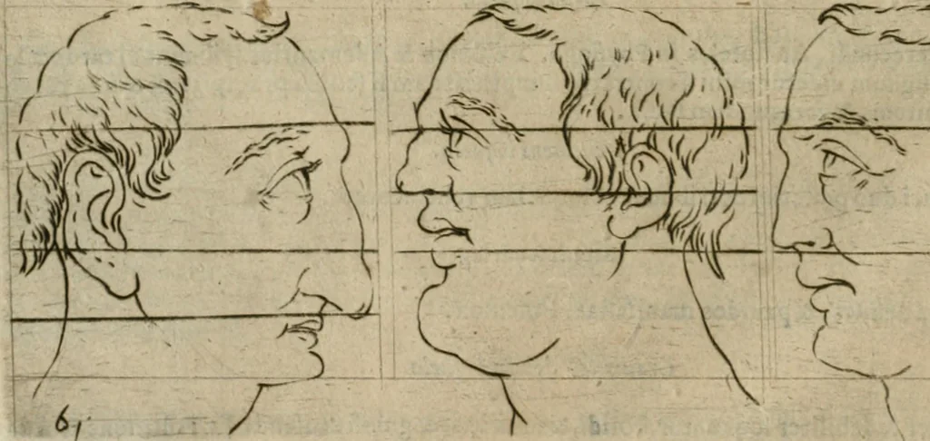 An illustration from Io. Batis. Portae Neap. De humana physiognomia li. VI : in quibus docetur quom[odo] animi propentes naturalibus remediis compesci possint, 1602, leaf 111
