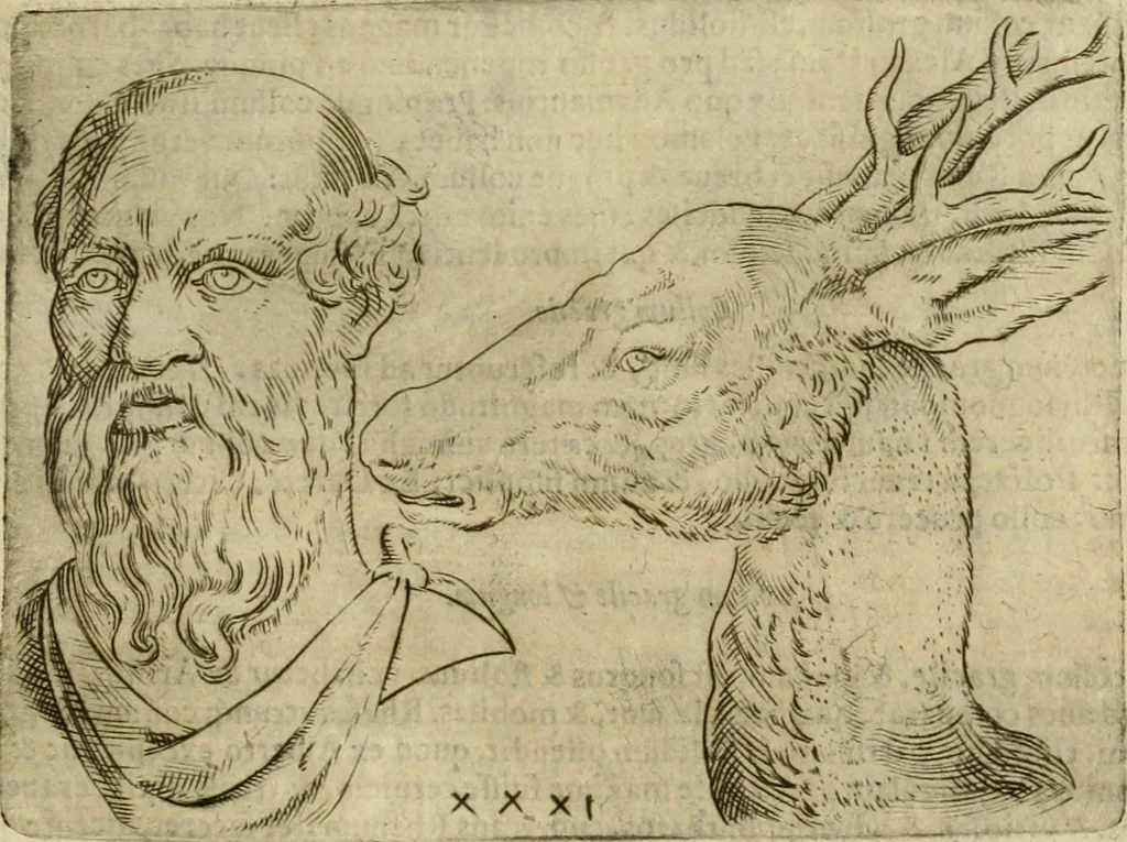 An illustration from Io. Batis. Portae Neap. De humana physiognomia li. VI : in quibus docetur quom[odo] animi propentes naturalibus remediis compesci possint, 1602, leaf 112