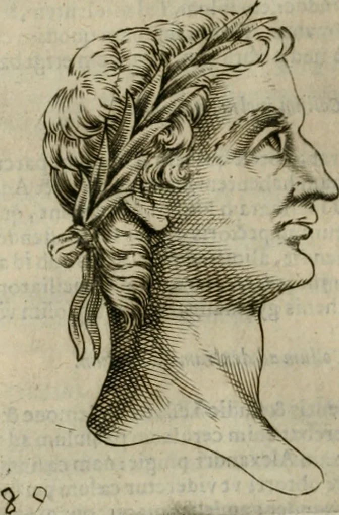 An illustration from Io. Batis. Portae Neap. De humana physiognomia li. VI : in quibus docetur quom[odo] animi propentes naturalibus remediis compesci possint, 1602, leaf 117