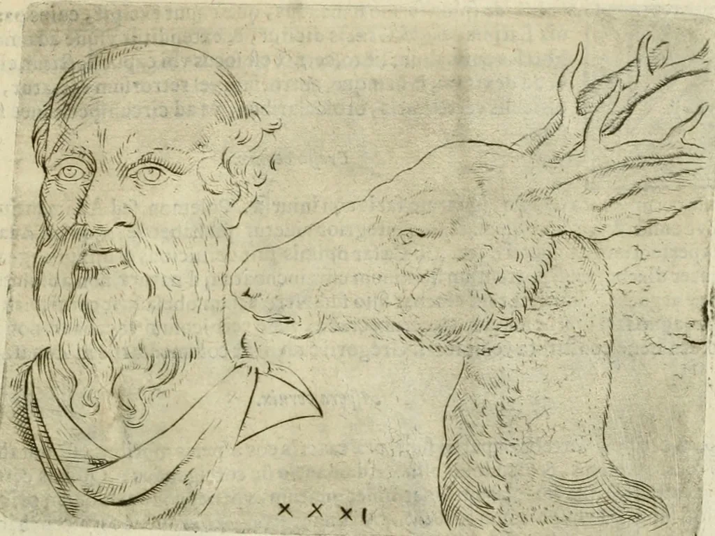 An illustration from Io. Batis. Portae Neap. De humana physiognomia li. VI : in quibus docetur quom[odo] animi propentes naturalibus remediis compesci possint, 1602, leaf 118