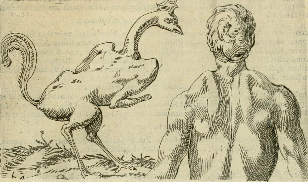 An illustration from Io. Batis. Portae Neap. De humana physiognomia li. VI : in quibus docetur quom[odo] animi propentes naturalibus remediis compesci possint, 1602, leaf 120