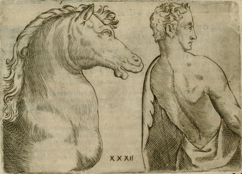 An illustration from Io. Batis. Portae Neap. De humana physiognomia li. VI : in quibus docetur quom[odo] animi propentes naturalibus remediis compesci possint, 1602, leaf 121