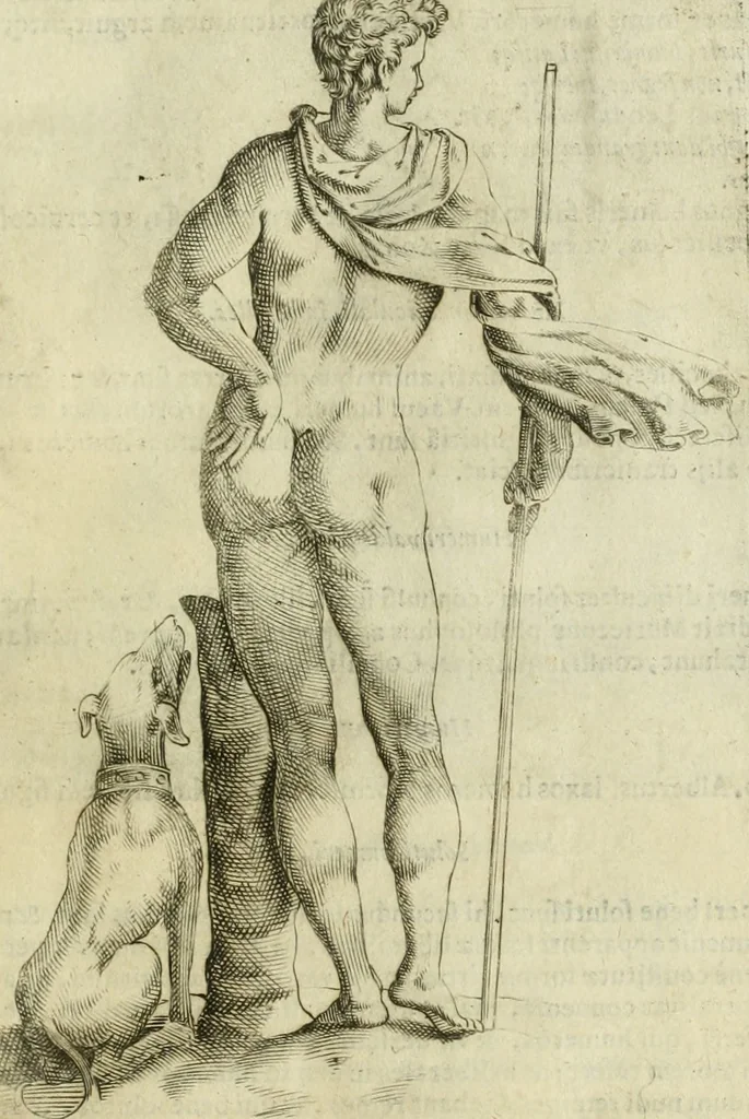 An illustration from Io. Batis. Portae Neap. De humana physiognomia li. VI : in quibus docetur quom[odo] animi propentes naturalibus remediis compesci possint, 1602, leaf 126