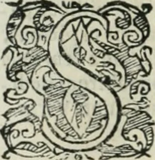 An illustration from Io. Batis. Portae Neap. De humana physiognomia li. VI : in quibus docetur quom[odo] animi propentes naturalibus remediis compesci possint, 1602, leaf 13