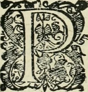 An illustration from Io. Batis. Portae Neap. De humana physiognomia li. VI : in quibus docetur quom[odo] animi propentes naturalibus remediis compesci possint, 1602, leaf 132