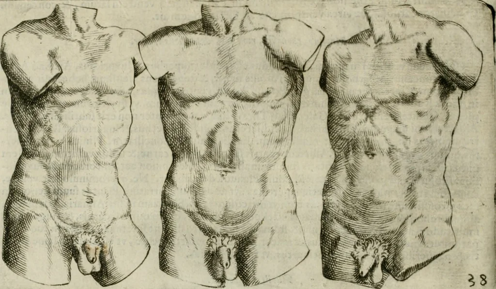 An illustration from Io. Batis. Portae Neap. De humana physiognomia li. VI : in quibus docetur quom[odo] animi propentes naturalibus remediis compesci possint, 1602, leaf 133