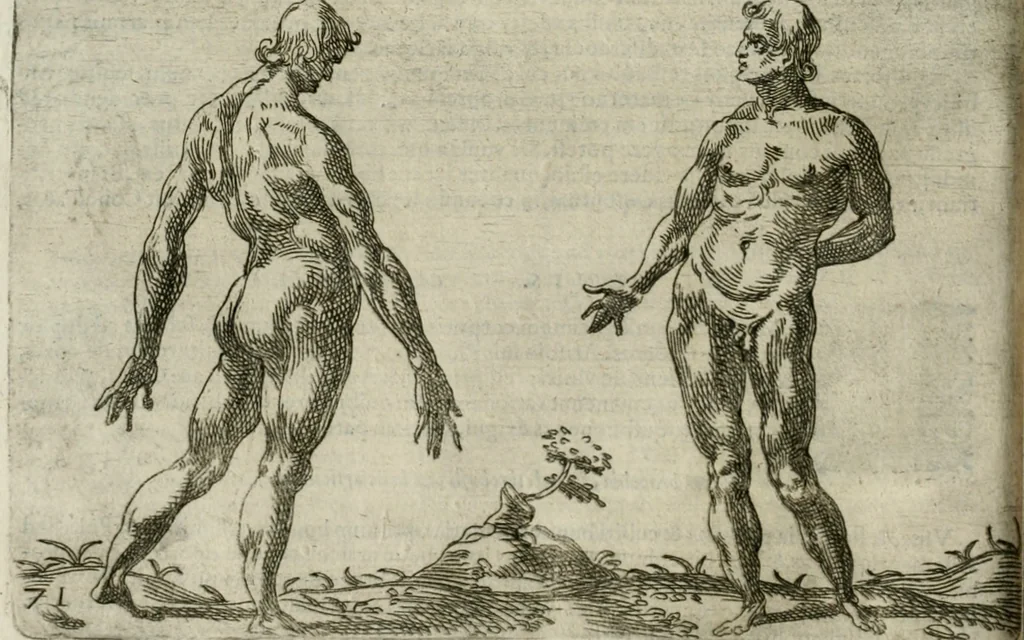 An illustration from Io. Batis. Portae Neap. De humana physiognomia li. VI : in quibus docetur quom[odo] animi propentes naturalibus remediis compesci possint, 1602, leaf 135