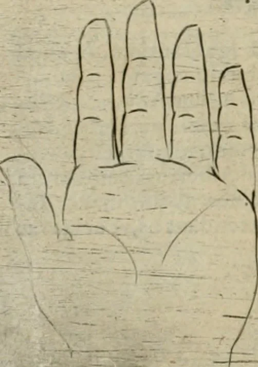 An illustration from Io. Batis. Portae Neap. De humana physiognomia li. VI : in quibus docetur quom[odo] animi propentes naturalibus remediis compesci possint, 1602, leaf 137