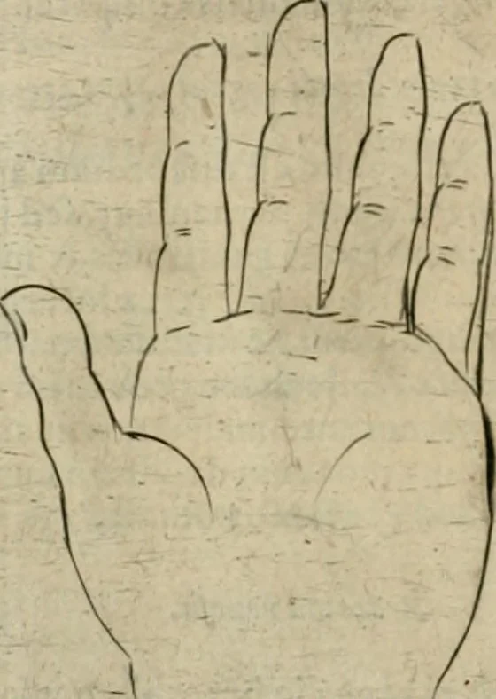 An illustration from Io. Batis. Portae Neap. De humana physiognomia li. VI : in quibus docetur quom[odo] animi propentes naturalibus remediis compesci possint, 1602, leaf 137