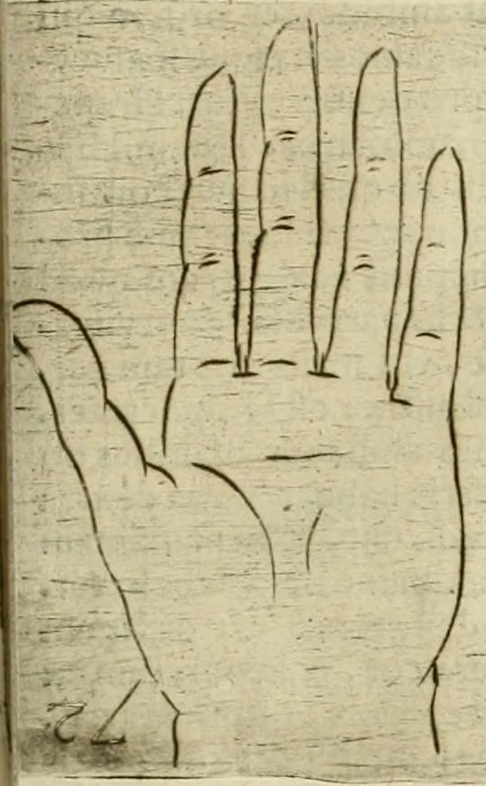 An illustration from Io. Batis. Portae Neap. De humana physiognomia li. VI : in quibus docetur quom[odo] animi propentes naturalibus remediis compesci possint, 1602, leaf 138