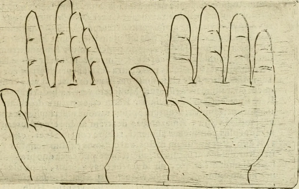 An illustration from Io. Batis. Portae Neap. De humana physiognomia li. VI : in quibus docetur quom[odo] animi propentes naturalibus remediis compesci possint, 1602, leaf 138