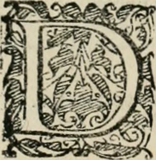 An illustration from Io. Batis. Portae Neap. De humana physiognomia li. VI : in quibus docetur quom[odo] animi propentes naturalibus remediis compesci possint, 1602, leaf 139