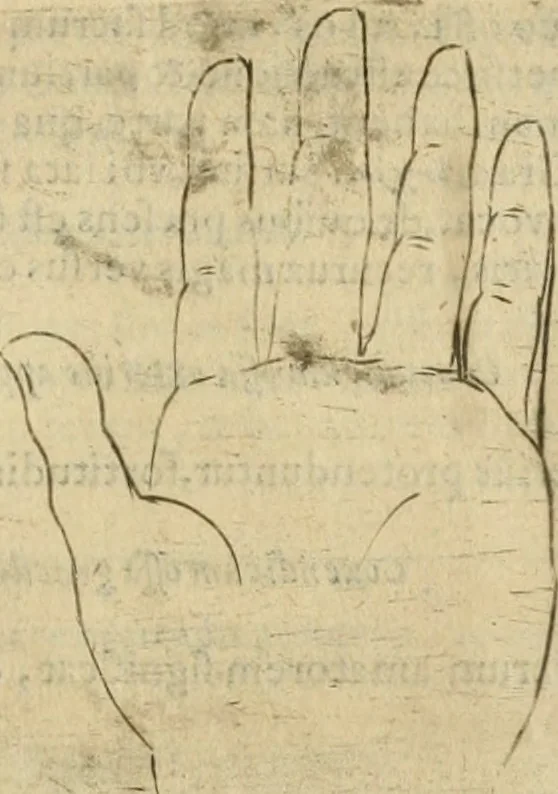 An illustration from Io. Batis. Portae Neap. De humana physiognomia li. VI : in quibus docetur quom[odo] animi propentes naturalibus remediis compesci possint, 1602, leaf 140