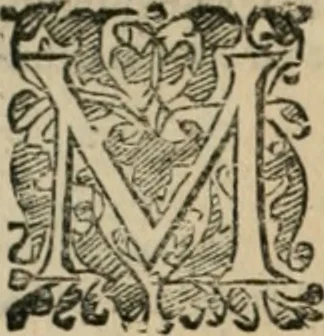 An illustration from Io. Batis. Portae Neap. De humana physiognomia li. VI : in quibus docetur quom[odo] animi propentes naturalibus remediis compesci possint, 1602, leaf 143