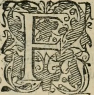 An illustration from Io. Batis. Portae Neap. De humana physiognomia li. VI : in quibus docetur quom[odo] animi propentes naturalibus remediis compesci possint, 1602, leaf 143