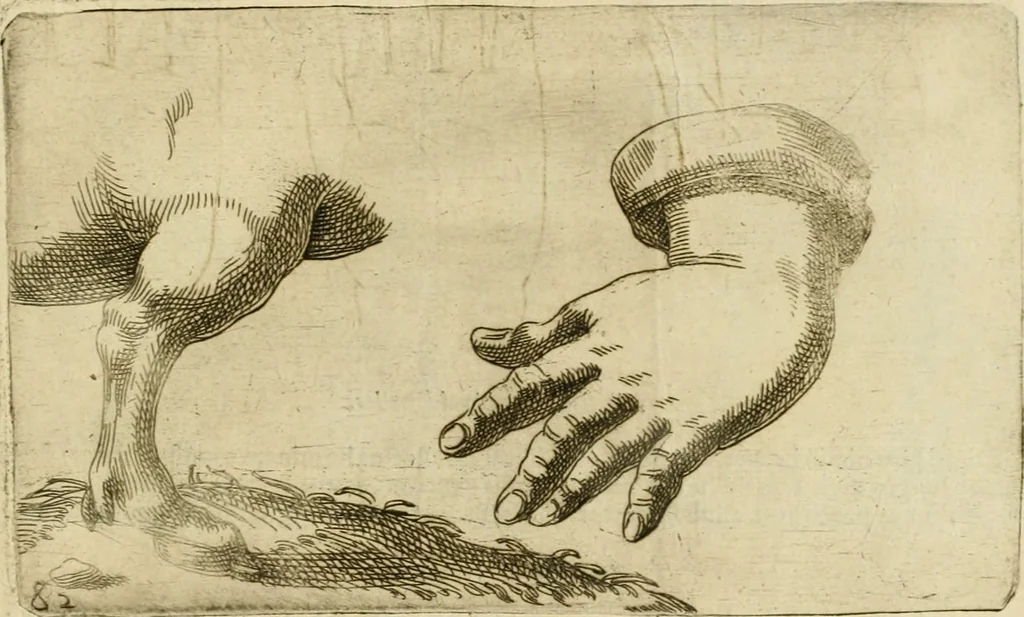 An illustration from Io. Batis. Portae Neap. De humana physiognomia li. VI : in quibus docetur quom[odo] animi propentes naturalibus remediis compesci possint, 1602, leaf 152