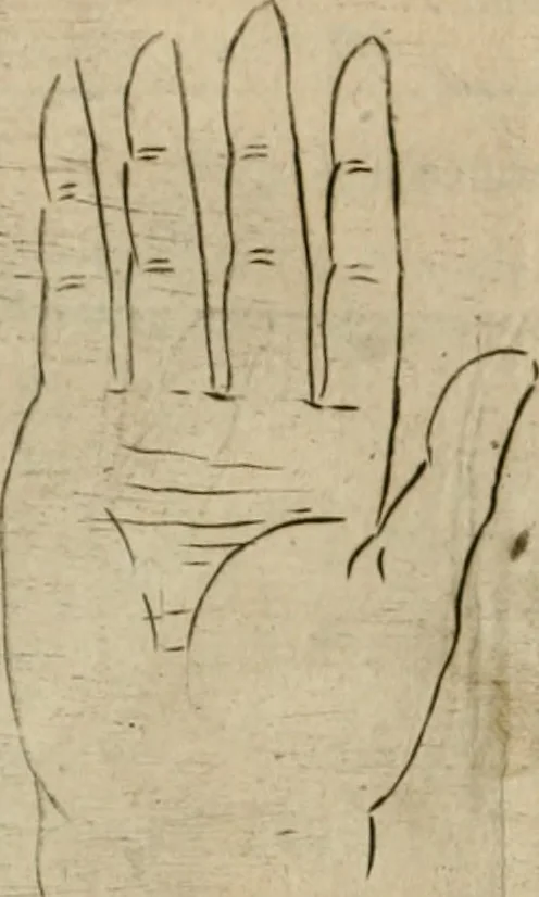 An illustration from Io. Batis. Portae Neap. De humana physiognomia li. VI : in quibus docetur quom[odo] animi propentes naturalibus remediis compesci possint, 1602, leaf 153