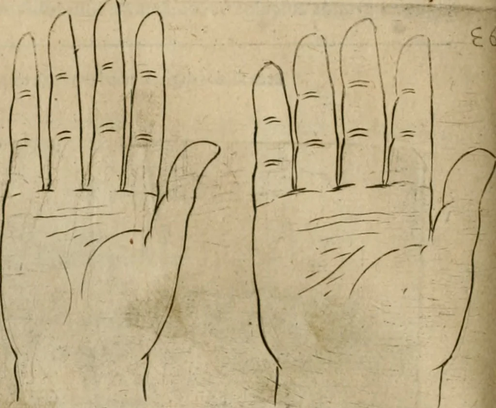 An illustration from Io. Batis. Portae Neap. De humana physiognomia li. VI : in quibus docetur quom[odo] animi propentes naturalibus remediis compesci possint, 1602, leaf 153