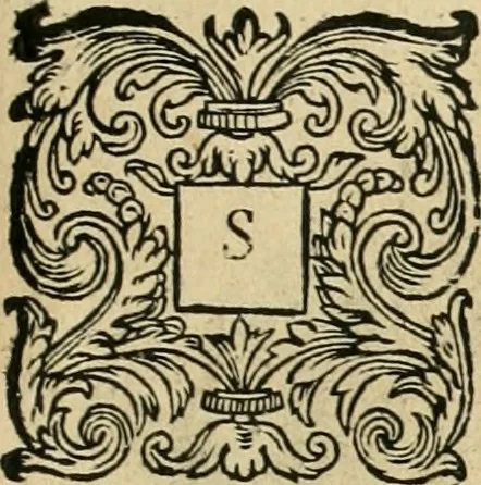 An illustration from Io. Batis. Portae Neap. De humana physiognomia li. VI : in quibus docetur quom[odo] animi propentes naturalibus remediis compesci possint, 1602, leaf 156