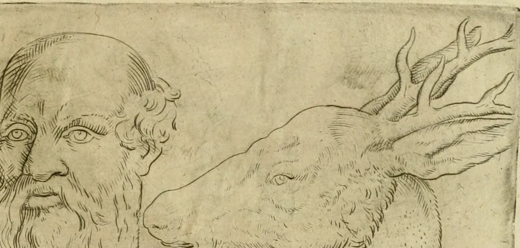 An illustration from Io. Batis. Portae Neap. De humana physiognomia li. VI : in quibus docetur quom[odo] animi propentes naturalibus remediis compesci possint, 1602, leaf 158