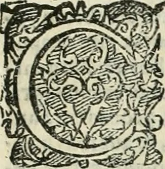 An illustration from Io. Batis. Portae Neap. De humana physiognomia li. VI : in quibus docetur quom[odo] animi propentes naturalibus remediis compesci possint, 1602, leaf 16