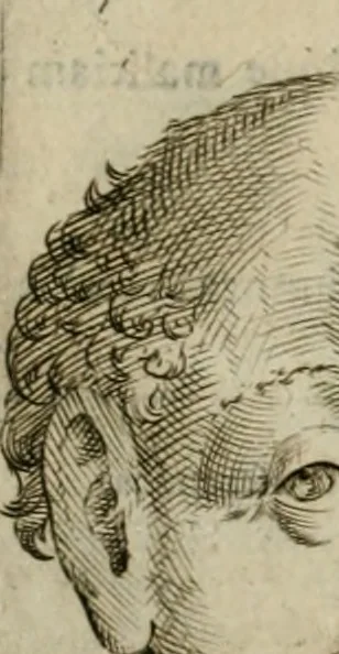 An illustration from Io. Batis. Portae Neap. De humana physiognomia li. VI : in quibus docetur quom[odo] animi propentes naturalibus remediis compesci possint, 1602, leaf 161