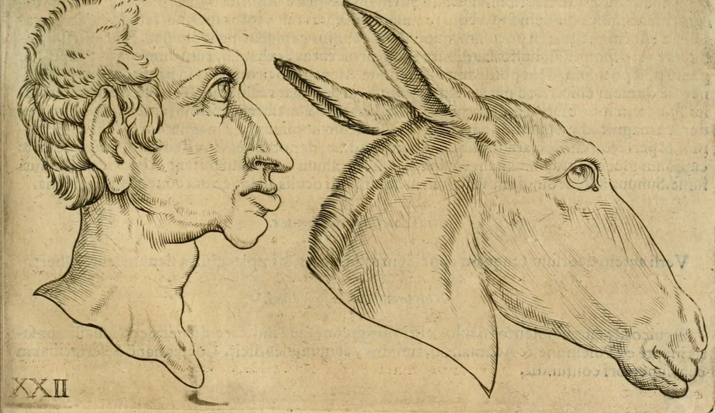 An illustration from Io. Batis. Portae Neap. De humana physiognomia li. VI : in quibus docetur quom[odo] animi propentes naturalibus remediis compesci possint, 1602, leaf 166
