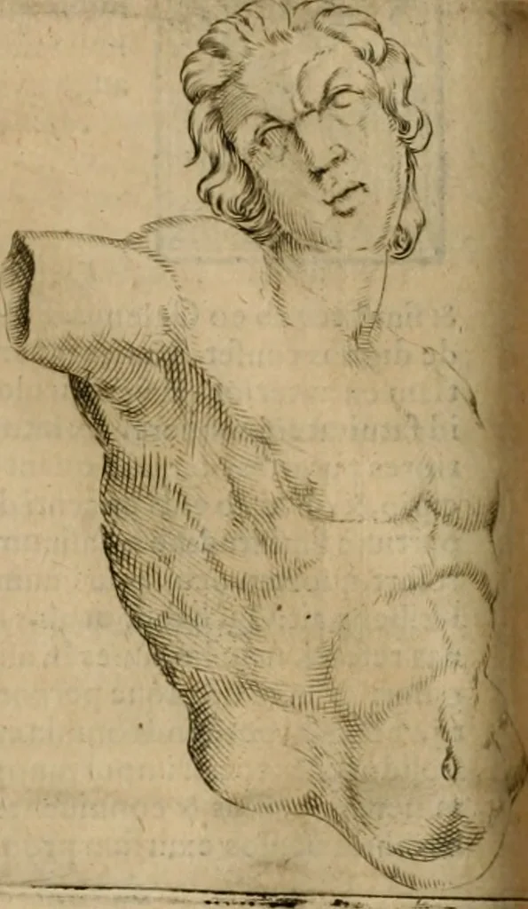 An illustration from Io. Batis. Portae Neap. De humana physiognomia li. VI : in quibus docetur quom[odo] animi propentes naturalibus remediis compesci possint, 1602, leaf 167