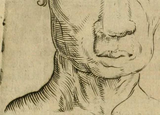 An illustration from Io. Batis. Portae Neap. De humana physiognomia li. VI : in quibus docetur quom[odo] animi propentes naturalibus remediis compesci possint, 1602, leaf 170