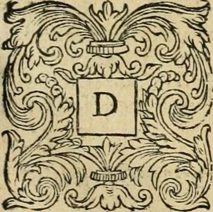 An illustration from Io. Batis. Portae Neap. De humana physiognomia li. VI : in quibus docetur quom[odo] animi propentes naturalibus remediis compesci possint, 1602, leaf 176