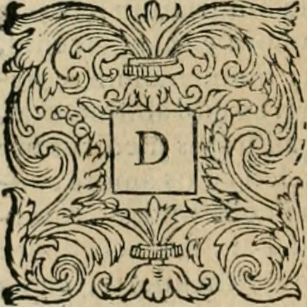 An illustration from Io. Batis. Portae Neap. De humana physiognomia li. VI : in quibus docetur quom[odo] animi propentes naturalibus remediis compesci possint, 1602, leaf 183